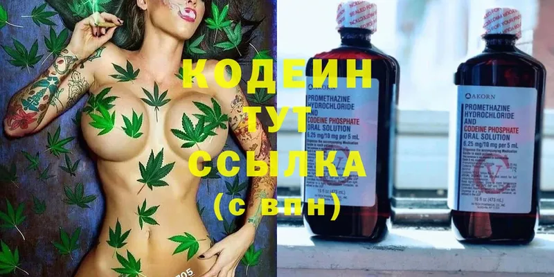 Кодеиновый сироп Lean Purple Drank  Краснозаводск 